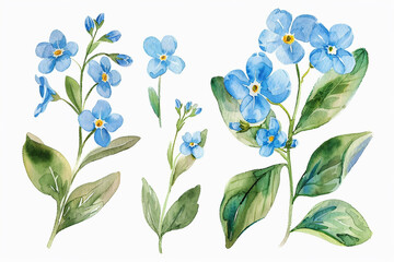 Watercolor forget-me-not clipart with small blue flowers and green leaves 