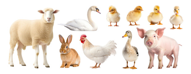 Animal farm isolated png element set on transparent background