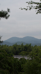 House nestled on a mountain, encircled by trees