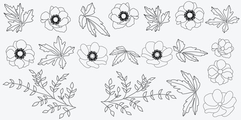 Illustration of the flowers on a white background. Vector illustration.