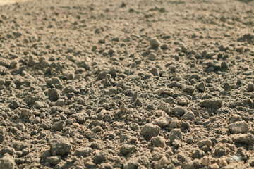 Ground surface. Close up natural background. Soil texture background.