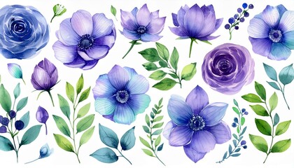 Watercolour floral illustration set. DIY violet purple blue flowers, green leaves elements...