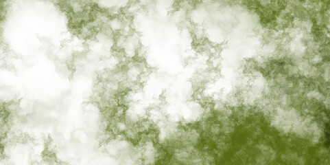  Abstract splash of green colored powder on white background. Old green grungy wall. Green powder explosion. Elegant vintage grunge background texture.