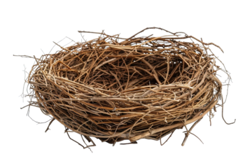 Empty bird nest isolated on white background