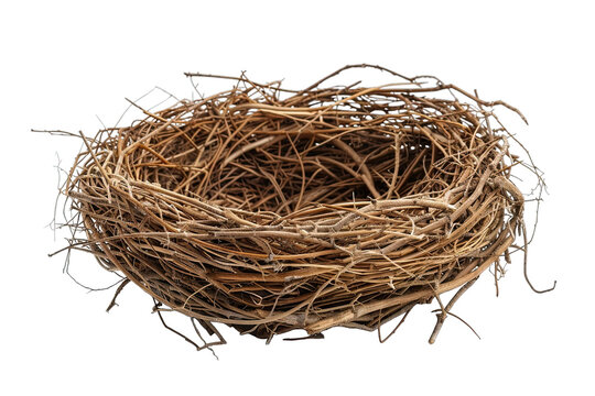 Empty bird nest isolated on white background