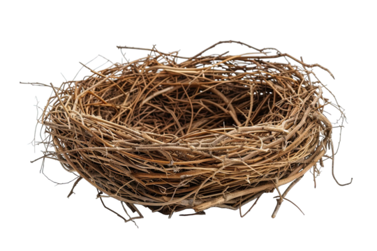 Empty bird nest isolated on white background