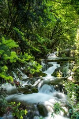 Obraz premium Tranquil landscape of a grassy field featuring a vibrant blue body of water in the foreground