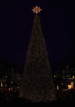 Illuminated Christmas Tree, Berlin, Germany
