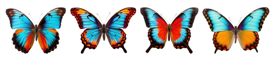 Butterfly png element set on transparent background