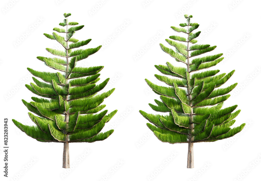 Aufkleber norfolk island pine tree isolated on transparent background. 3d render.