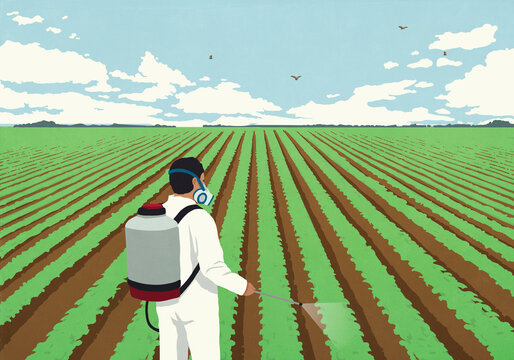 Farmer in protective workwear spraying pesticides over crop on sunny farm
