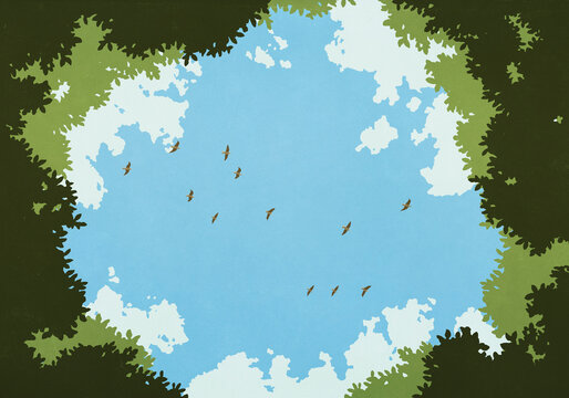 View from below birds flying in blue sky above opening in treetops
