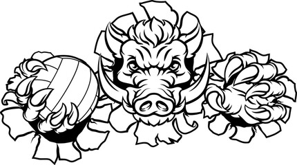 A boar razorback hog volleyball animal sports mascot holding a volley ball in his claw