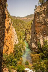 river in the middle of a canyon and forest in the background in the middle of the mountain