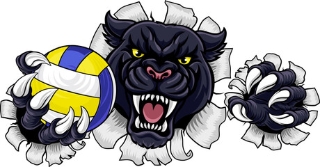 A panther jaguar leopard volleyball animal sports mascot holding a volley ball in his claw © Christos Georghiou