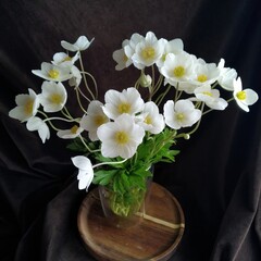 bouquet of white anemones on a dark background