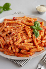 Homemade Italian Casarecce Pasta with Creamy Tomato Sauce, side view.