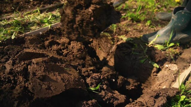 the girl is digging with a shovel. the garden bed. a spring day