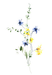 Obraz premium Watercolor floral bouquet on white background. Blue, yellow wild flowers, branches, leaves and twigs.