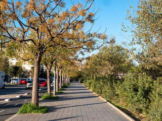quiet walking path along a park with trees