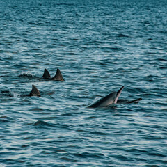 Naklejka premium a deep breath before playing again