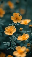 yellow flowers as natural mobile wallpaper background, vertical mobile phone wallpaper in yellow and green