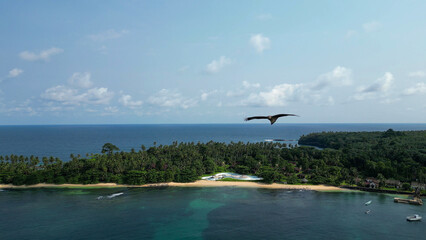 Aerial view of a Falcon flying on the coast of Sao Tome,