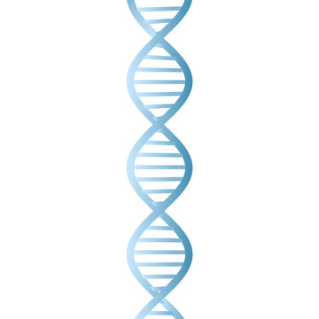 Beautiful realistic DNA blue colored double helix on transparent background.