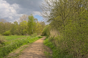 Hiking trail through a fresh green forest on a spring day in Blaasveldebroek nature reserve, Willebroek, Belgium 