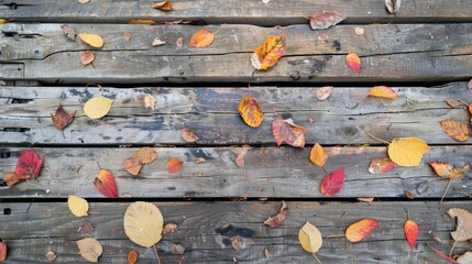 Fototapeta premium A rustic wooden table with scattered autumn leaves