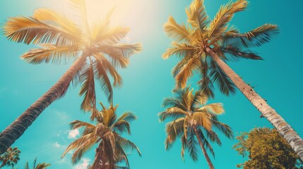 tropical paradise, palm trees gently swaying in the warm breeze under the clear blue sky make for a perfect tropical vacation vibe to relax and unwind