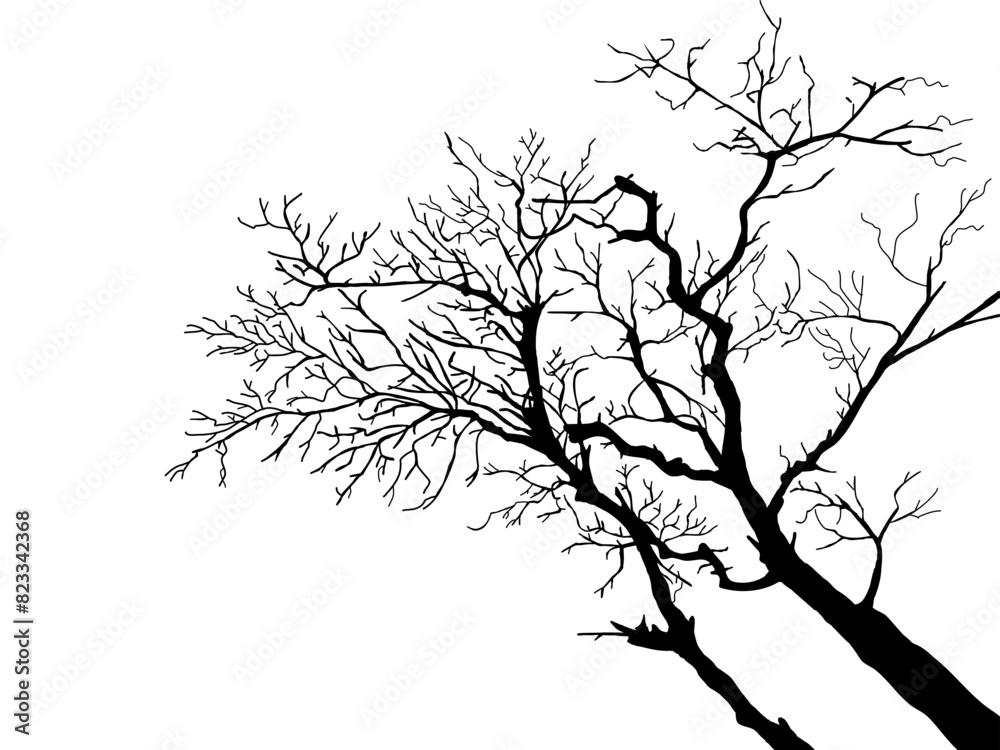 Wall mural Black Branch Tree or Naked trees silhouettes set. Hand drawn isolated illustrations.