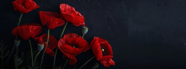 Anzac Day, poppy flowers on dark background. Remembrance day symbol.