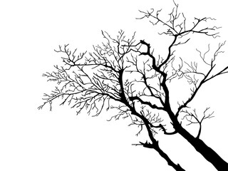 Black Branch Tree or Naked trees silhouettes set. Hand drawn isolated illustrations.