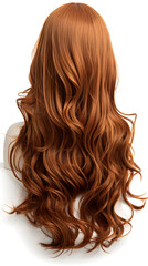 Fototapeta premium Natural looking long hair cut brunette back view wig isolated on white background