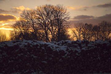a sun setting behind a wall with trees and snow on it