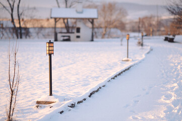 a path that has snow on the ground with trees and bushes in front