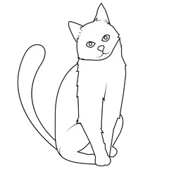 cat outline, cat silhouette, flat vector illustration.