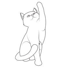 cat outline, cat silhouette, flat vector illustration.