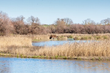 View of Tablas de Daimiel National Park in the province of Ciudad Real, Castilla-La Mancha, Spain