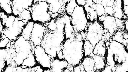 Fototapeta premium two different vintage vector of cracked and dry land ground, cracked white paint on a white background, a black and white drawing of a cracked wall set, a black and white image of a cracked wall