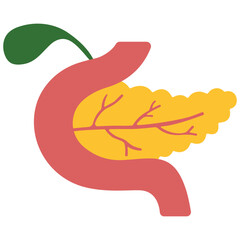 Pancreas and Gallbladder on a white background, vector illustration.
