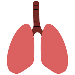 Lungs, PNG illustration.