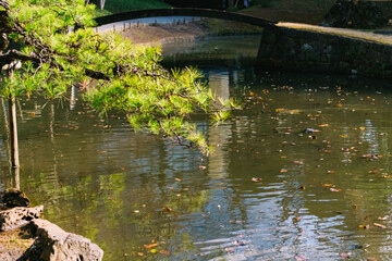 Naklejka premium bridge in the park