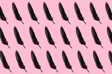 Black bird feather on pink background. MInimal concept. Abstract background.