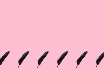 Black bird feather on pink background. MInimal concept. Abstract background.