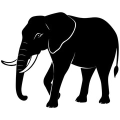 African elephant, walking vector silhouette, black color silhouette. white background