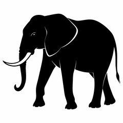 Obraz premium African elephant, walking vector silhouette, black color silhouette. white background