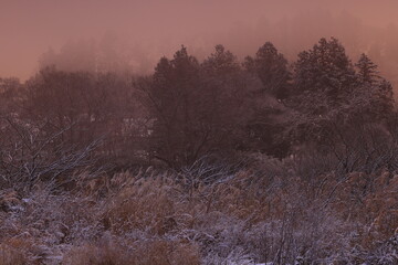 岩手県北上市　朝焼けの冬景色