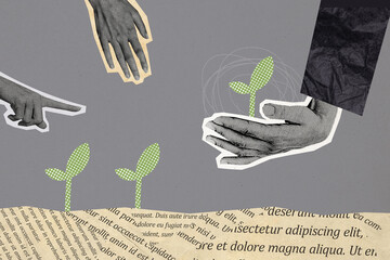 Composite photo collage of hand hold ground plant conservation environment protect earth day...